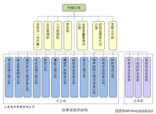 破局与新生 某高科技企业管理诊断与改革发展之路